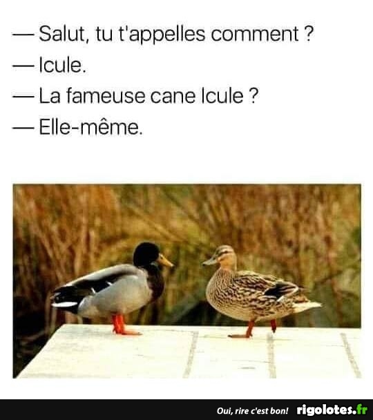 Image de la ressource